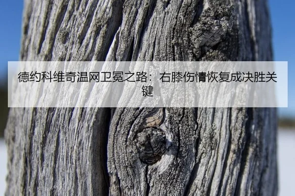 de-yue-ke-wei-qi-wen-wang-wei-mian-zhi-lu-you-xi-shang-qing-hui-fu-cheng-jue-sheng-guan-jian-2-218.jpg