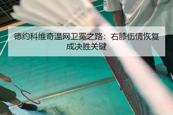 de-yue-ke-wei-qi-wen-wang-wei-mian-zhi-lu-you-xi-shang-qing-hui-fu-cheng-jue-sheng-guan-jian-3-606.jpg