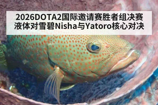 2026DOTA2国际邀请赛胜者组决赛液体对雪碧Nisha与Yatoro核心对决